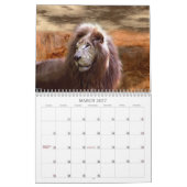 EEN JAAR VAN NATUUR KALENDER (Mar 2027)