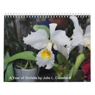 Een jaar van Orchids 2014 Orchid Calendar Foto's Kalender
