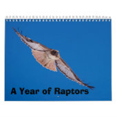 Een jaar verkrachters kalender (Hoes)