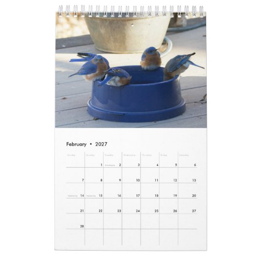 Een jaar vol blauwvintonijn kalender (Feb 2027)