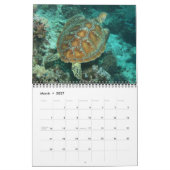 Een jaar Zee draaistellen kalender (Mar 2027)