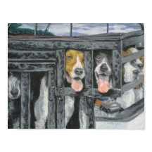 "Een jacht die we gaan maken"