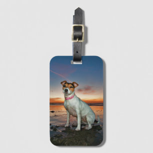Een Jack Russell-meetband Brighton Beach Bagagelabel
