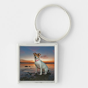 Een Jack Russell-meetband Brighton Beach Sleutelhanger