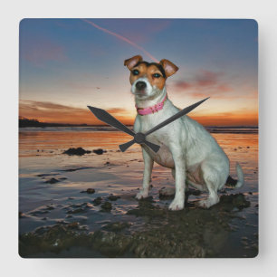 Een Jack Russell-meetband   Brighton Beach Vierkante Klok