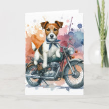Een Jack Russell op een fiets