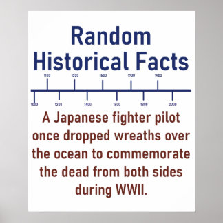 Een Japanse vechtpiloot - Geschiedenis Poster