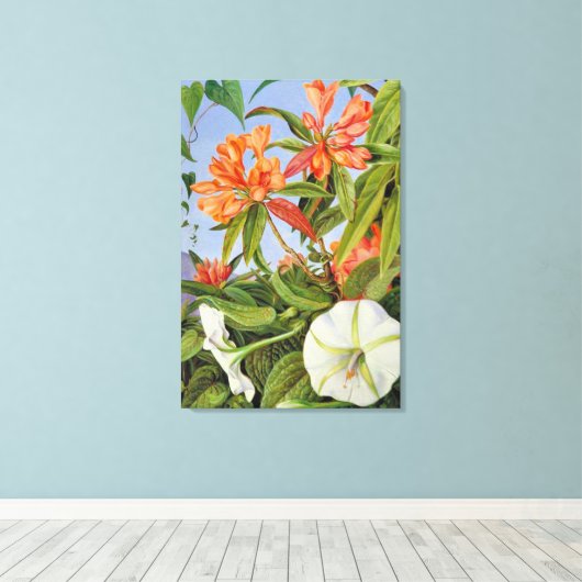 Een Javaanse Rododendron en Ipomoea Canvas Afdruk (Insitu (Houten vloer))