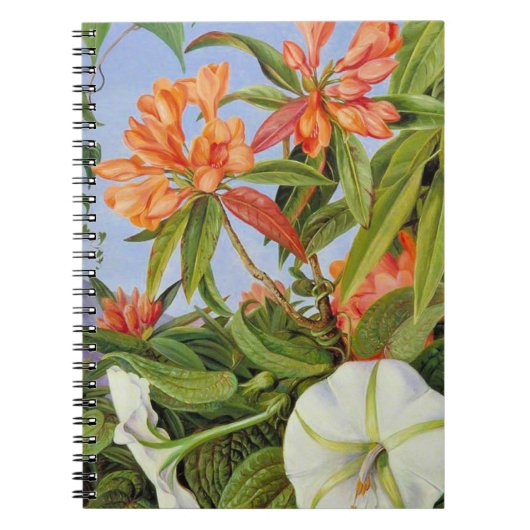 Een Javaanse Rododendron en Ipomoea Notitieboek (Voorkant)