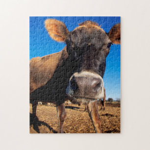 Een Jersey-koe die nieuwsgierig is Legpuzzel