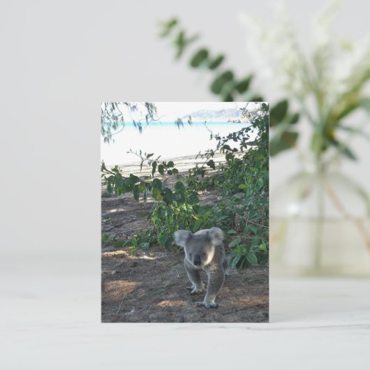 Een jonge koala loopt op het strand briefkaart (Staand voorkant)