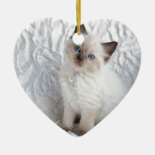Een jonge ragdolkat zit op de stoel keramisch ornament