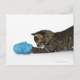 Een jonge Tabby kitten die met wol speelt. Briefkaart