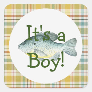 Een jongen Vist Baby shower Sticker