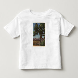 Een Joshua-palm in Bloom in de Californische woest Kinder Shirts