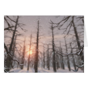 Een Kaart van de Dream van de Winternacht