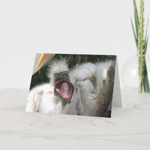 Een Kaart van een vogelgeboorte