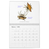 Een kalender met spinnen van Ernst Haeckel. (Feb 2026)