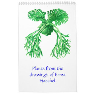 Een kalender met tekeningen van het plant.