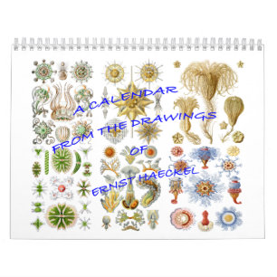 Een kalender uit de tekeningen van Ernst Haeckel