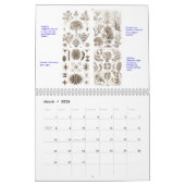 Een kalender van de planten van Ernst Haeckel (Mar 2026)
