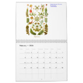 Een kalender van de planten van Ernst Haeckel (Feb 2026)