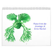 Een kalender van de planten van Ernst Haeckel (Hoes)
