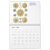 Een kalender van microscopische planten en dieren. (Mar 2026)