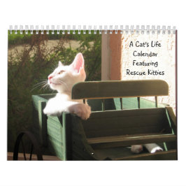 Een kalender voor het leven van een kat - met vun 