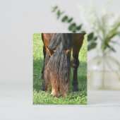 een kapsel nodig briefkaart (Staand voorkant)