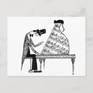 Een kat genaamd Sonata Briefkaart