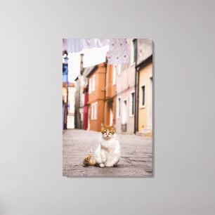 Een kat in de straten van Burano, Italië.  2006. Canvas Afdruk