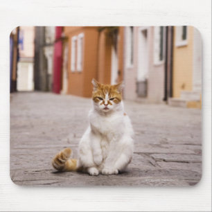 Een kat in de straten van Burano, Italië. 2006. Muismat