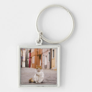 Een kat in de straten van Burano, Italië. 2006. Sleutelhanger