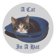 Een kat in een Petten Sticker