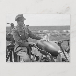 Een Kat in oorlog Briefkaart