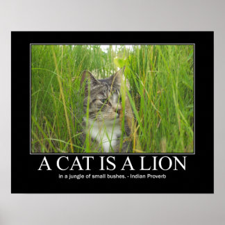 Een kat is een Lion Indian Proverb Artwork Poster