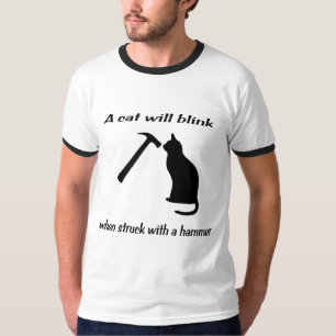 Een kat knippert wanneer hij wordt geraakt met een t-shirt