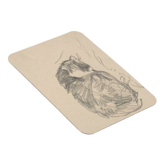 Een kat kromp, geslapen door Edouard Manet. Magneet (Rechterzijde)