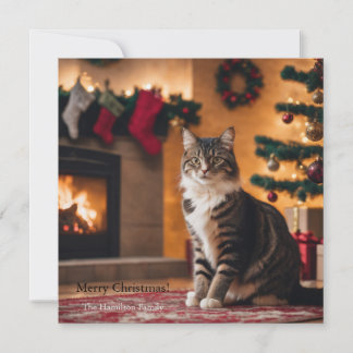 Een kat met een kerstboom en open haard feestdagenkaart