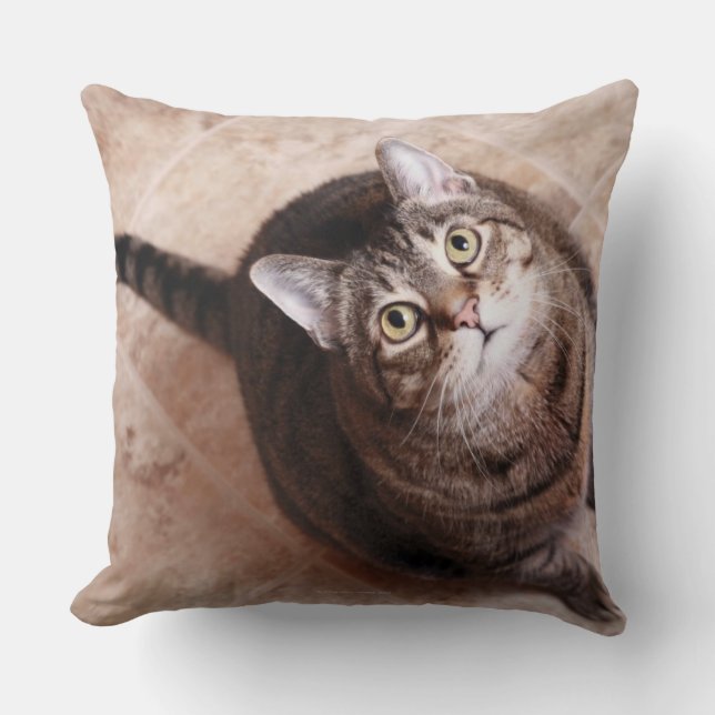Een kat op tafel kussen (Voorkant)