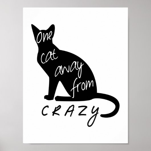 Een kat weg van CRAZY Poster (Voorkant)