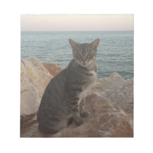 Een kattenmodel notitieblok