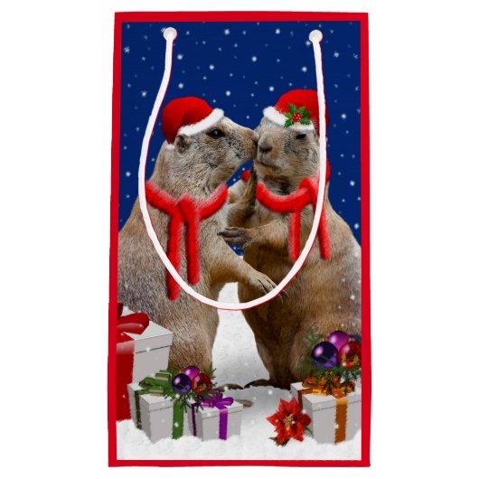 Een kerstcadeautas met kerstcadeautjes klein cadeauzakje (Voorkant)