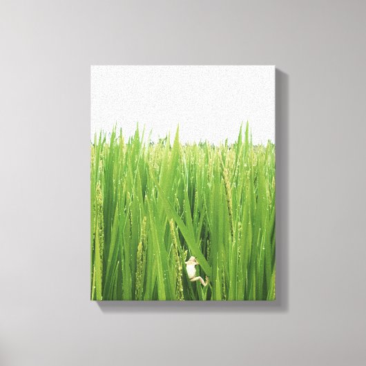 Een kikker die vers gras beklimt canvas afdruk (Voorkant)