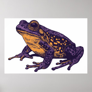Een kikkerillustratie - groot poster