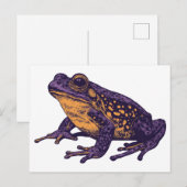 Een kikkerillustratie - l briefkaart (Voorkant / Achterkant)