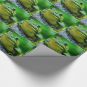 Een kikkervis cadeaupapier (Hoek)