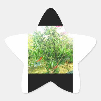 Een kille: heerlijke smakelijke lekkernijen verspr ster sticker