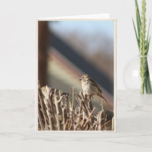Een klein Birdie Blank Wenskaart Kaart